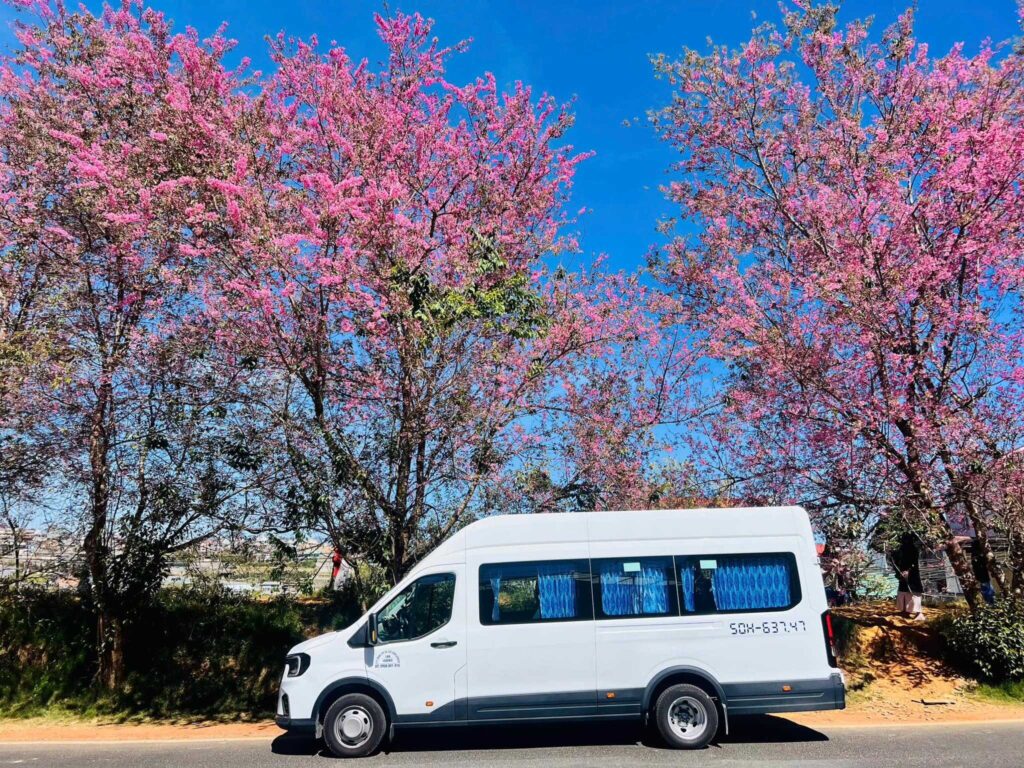 Bật mí những Ưu Điểm siêu việt Khi Thuê Xe 18 Chỗ Giá Trọn Gói Tại Thuexehuydat.com